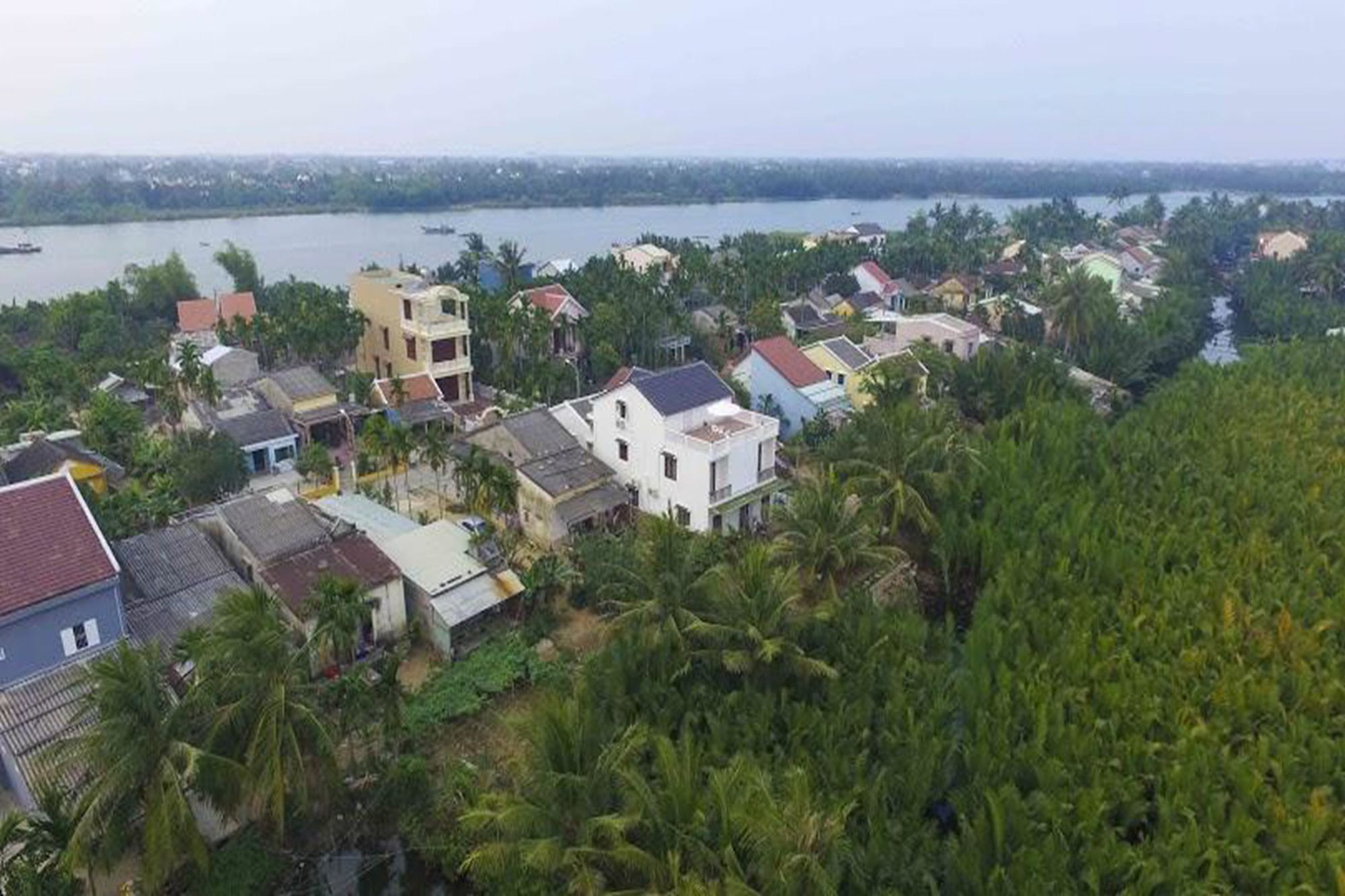 Coconut Garden Homestay Hoi An Eksteriør billede