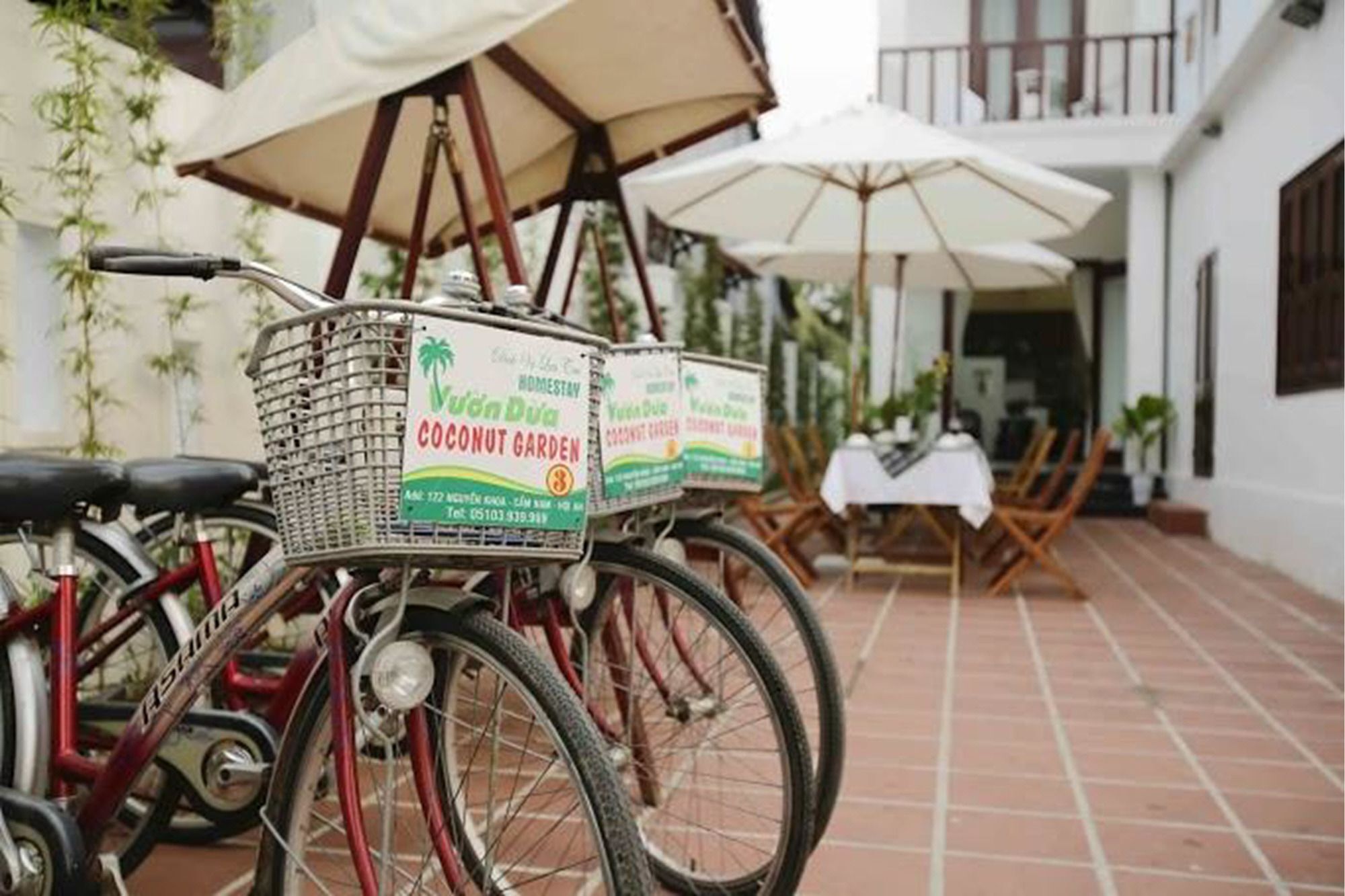Coconut Garden Homestay Hoi An Eksteriør billede